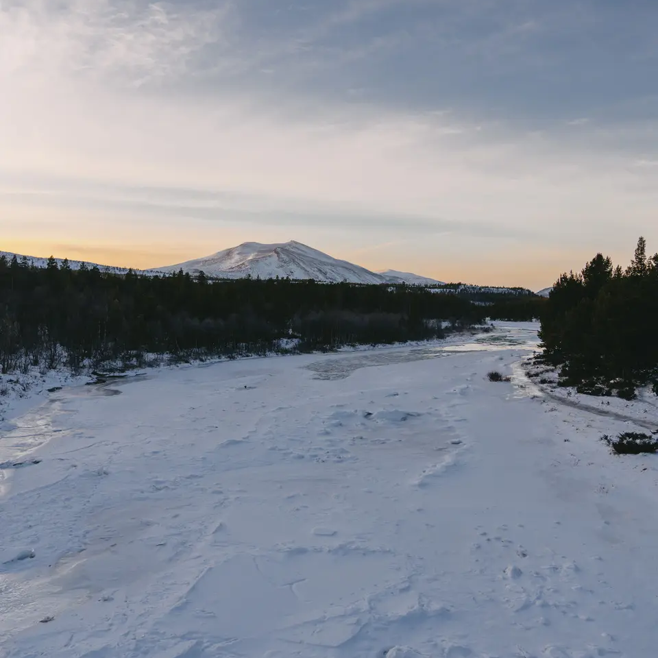 Besneeuwde weg, bomen links en rechts, een grote berg op de achtergrond